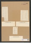 Diatomeae indet. Zeichnungen Sammlung Grunow Nr. 5819 (NHMW-BOT-W0374241)